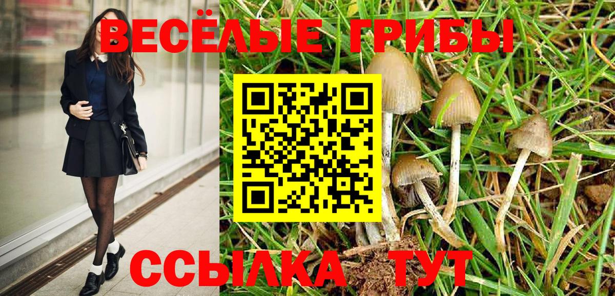 Галлюциногенные грибы MAGIC MUSHROOMS  Галлюциногенные грибы Cubensis  Королёв  Вход с VPN 